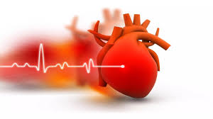 heart1 SECOND OPINION FOR HEART IS MUST- Wellness Acharya